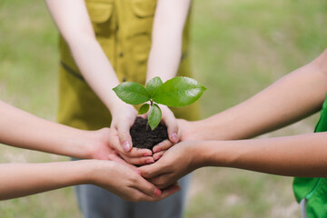 Children Holding Sprout Together