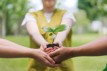 Hands Holding Sprout for Growth