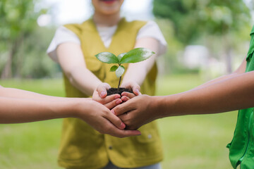 Hands Holding Sprout in Soil