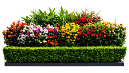  Flowering Bush Tree with Tropical Leaves  Transparent Background PNG