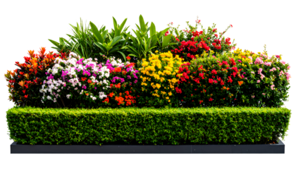  Flowering Bush Tree with Tropical Leaves  Transparent Background PNG
