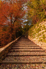 Autumn view of the stairs leading to Bergamo Alta, Italy