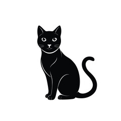 black cat on white background