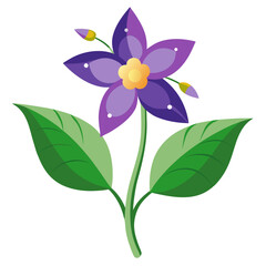 vector illustration of a flower