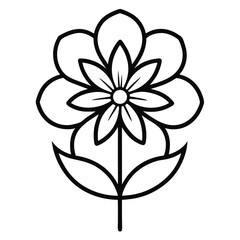 black and white flower