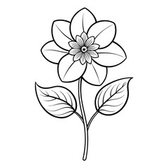 black and white flower