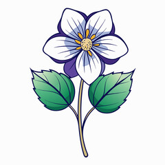 vector illustration of a hepatica flower