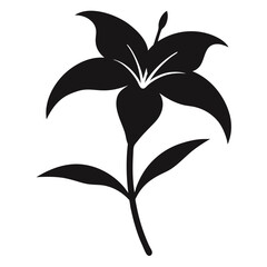 black and white flower