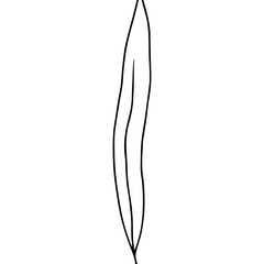 Minimalist black line drawing leaf, concept of nature.