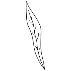 Fototapeta premium Minimalist black line drawing leaf, concept of nature.