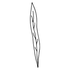 Minimalist black line drawing leaf, concept of nature.