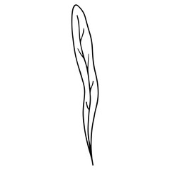 Minimalist black line drawing leaf, concept of nature.