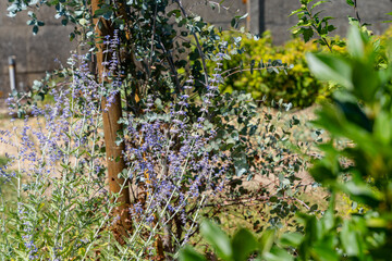 Jardin paysager aménagé par une entreprise spécialisée, avec pelouse, massifs fleuris, arbustes...