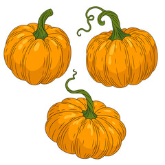 Orange round pumpkins with green stems. Cozy autumn elements for Fall, Thanksgiving and Halloween designs. Cartoon hand drawn vector art