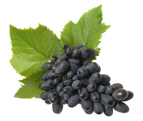 bunch of grapes