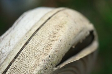 close up of an old shoes
