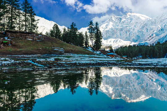 Stunning view of Nanga Parbat from Fairy Meadows, Pakistan. Snowy peaks, pine trees, and a perfect lake reflection create a peaceful, untouched mountain paradise.