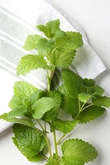Fresh lemon balm leaves on white table, top view