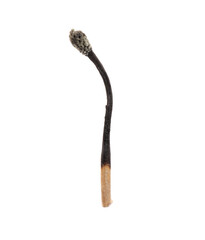 One burnt match isolated on white. Tool for starting fire