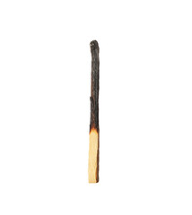 One burnt match isolated on white. Tool for starting fire