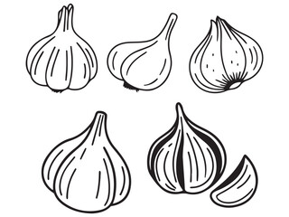 garlic vector icon set design on a white background