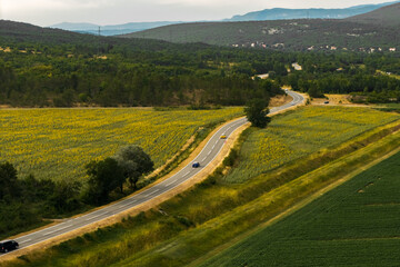 Winding road through blooming sunflower fields