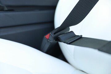 Safety belt and seat inside of modern car, closeup