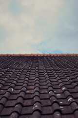Fototapeta premium old roof tiles