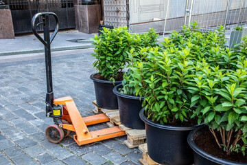 Orange pallet jack with green plants in pots on cobblestone courtyard