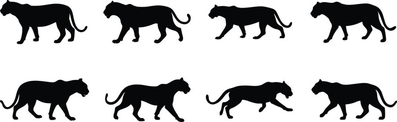 Obraz premium Panther Walk Cycle Silhouette Vector Illustration Set. Big Cat Silhouette Walking Cycle Animation Frames Set. 