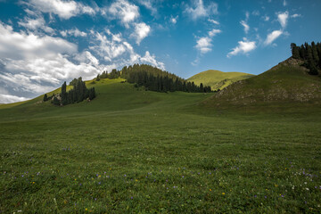 mountain landscape in summer