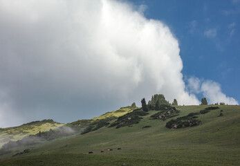 mountain landscape with clouds