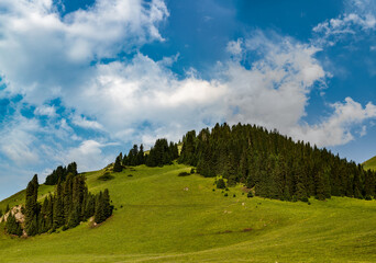 summer landscape with mountains and clouds