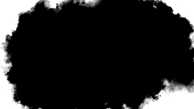 Transitions of black expanding paint stains white backdrop Grunge Ink spreads and fills the screen. flows and streams Black ink spot spreading from center. Video revealer white black solid transition