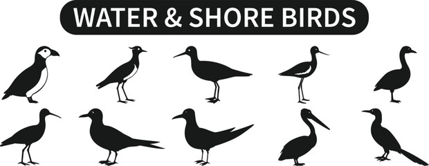 Water and Shore Birds Silhouette Vector Set – Ducks, Herons, Seagulls, Cranes – Black Animal silhouettes on Transparent Background