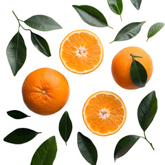Group of slices whole of fresh orange fruits and leaves isolated on transparent background