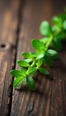 Fresh Herb Sprig on Rustic Wood Natural Beauty for Culinary, Wellness, and Spa Designs
