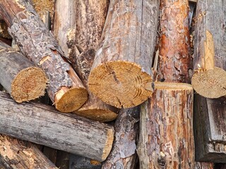 A pile of wood, cut firewood