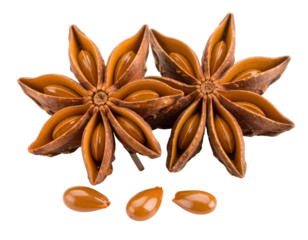 Star anise is a brown, star-shaped spice with eight points, each containing a shiny seed, commonly used in cooking and traditional medicine.