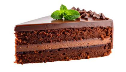 A rich, layered chocolate cake slice topped with chocolate icing, decorative chocolate swirls, and a fresh mint leaf.