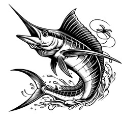 hand drawn sailfish lineart isolated on white