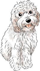 Detailed Watercolor Cat Dog Sketches