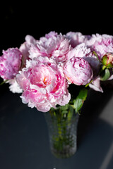 Beautiful peonies in a glass vase in bright sunlight.