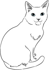 Black and White Cat Dog Sketch