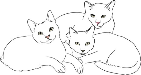 Black and White Cat Dog Drawing