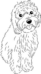 Cat and Dog Black White Art Lines