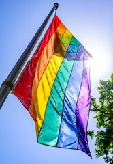 Colorful pride flags displayed among trees during a vibrant celebration of diversity and inclusion...
