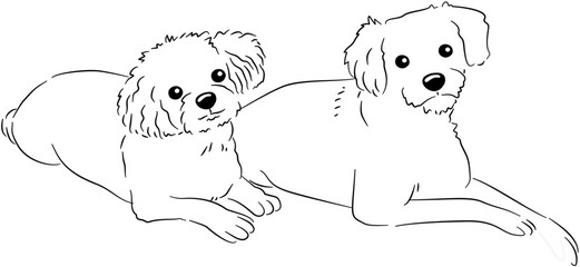 Animal Sketches Cat Dog Style