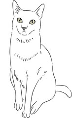 Black White Hand Drawn Cat Dog