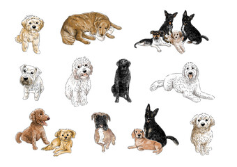 Animals Cat and Dog Watercolor Bundle